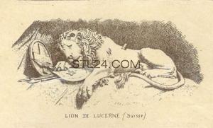 LION_0276